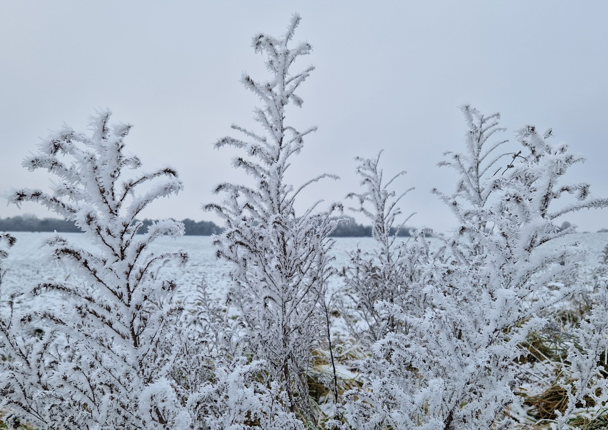 Vorsicht Auf Glatteis: Wetterwarnungen Und Glättevorkehrungen Für Den 5. Januar