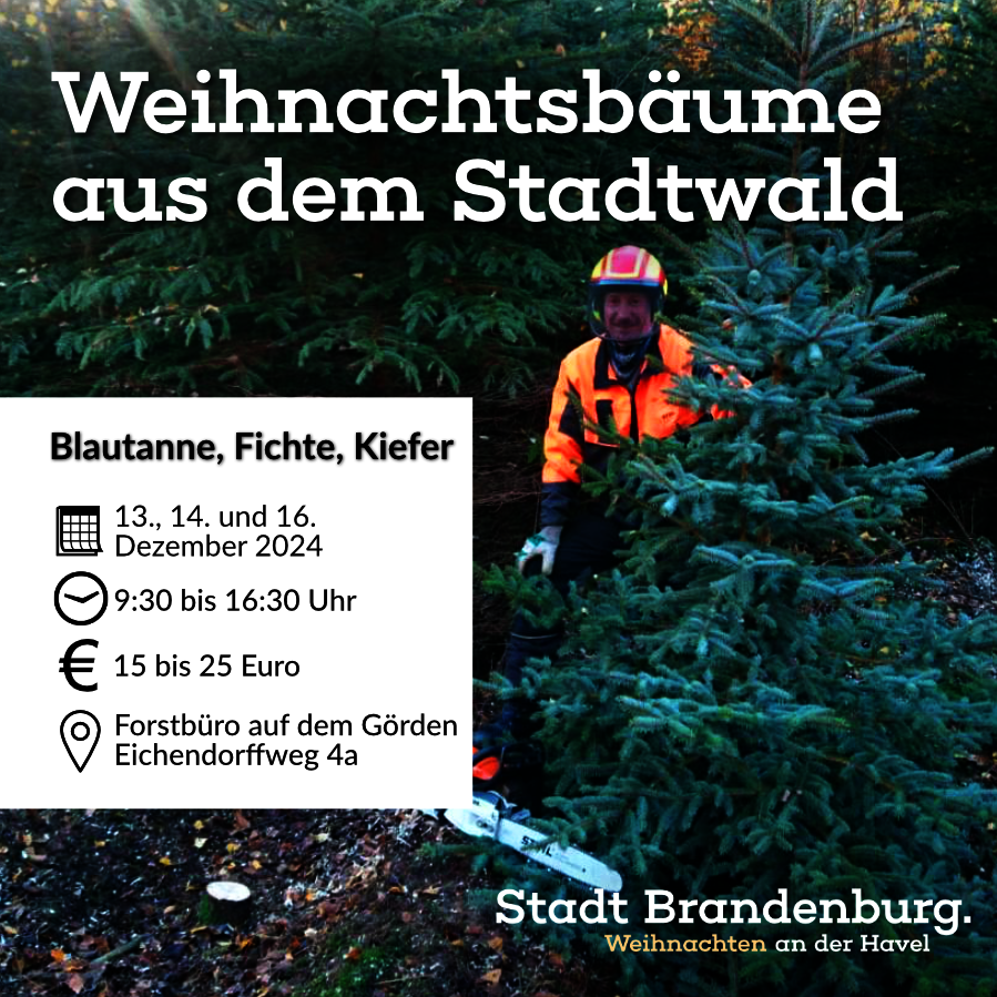 2024_11_18_Anzeige_Weihnachtsbaum_aus_dem_Stadtwald_2024