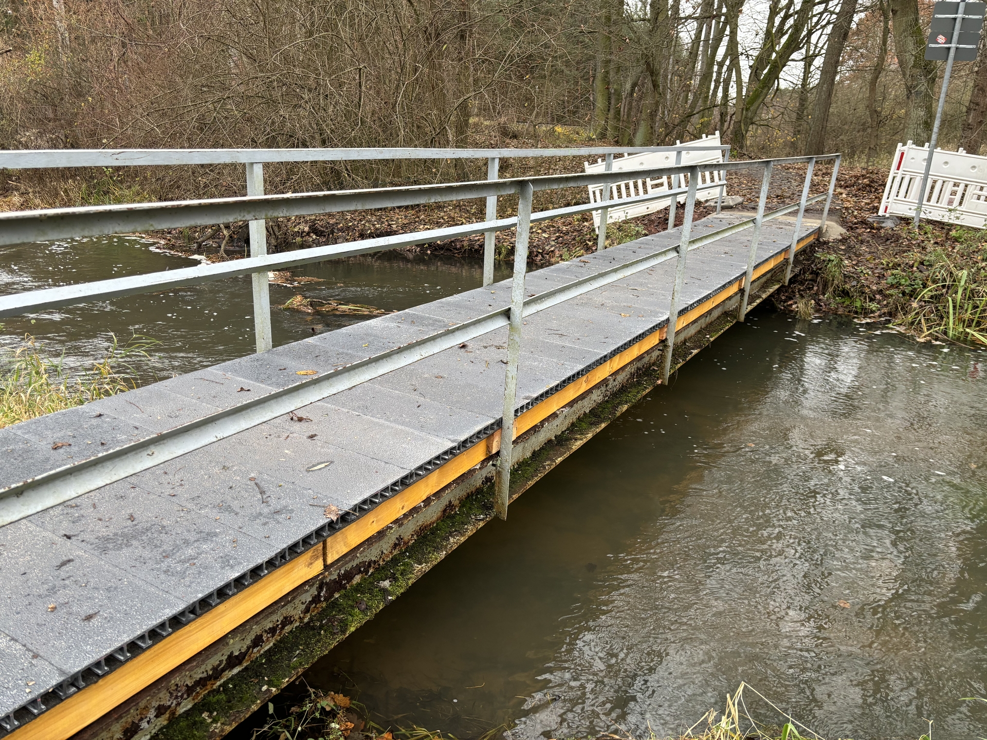 Buckaubrücke_1301