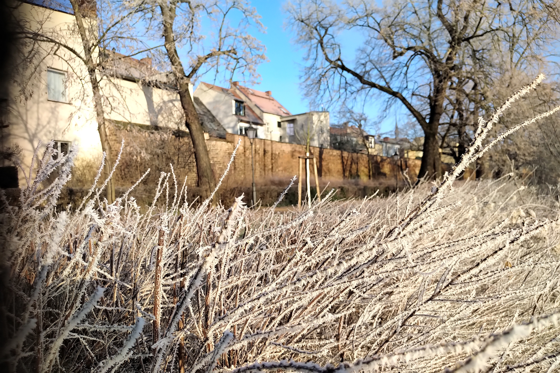 Winter_Frost_Sonne_Zweige_Stadtmauer_Altstadt_Wohnen_C_SW